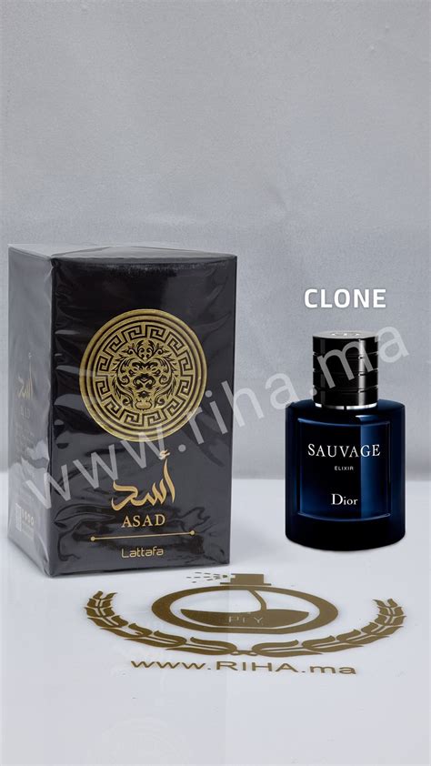 parfum clone dior sauvage|Dior Sauvage replica.